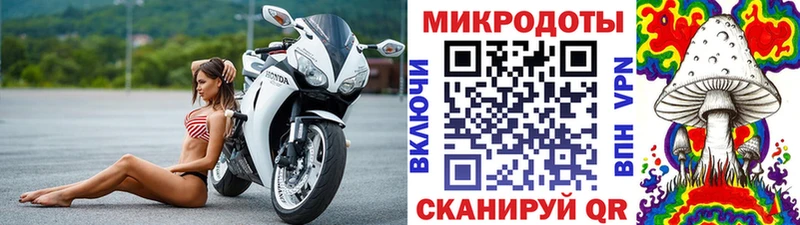 Псилоцибиновые грибы мицелий  Купить где  Клинцы 